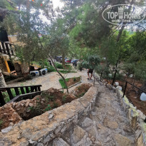 фото из отзыва ID 2297553