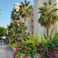 фото из отзыва ID 2297704