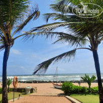 фото из отзыва ID 2297726