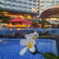 фото из отзыва ID 2297726