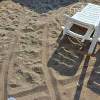 фото из отзыва ID 2297740