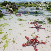 фото из отзыва ID 2297818