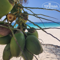 фото из отзыва ID 2297818