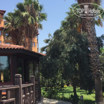 фото из отзыва ID 2297872