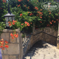 фото из отзыва ID 2297872