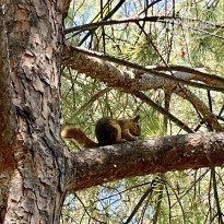 фото из отзыва ID 2297875