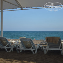 фото из отзыва ID 2298014