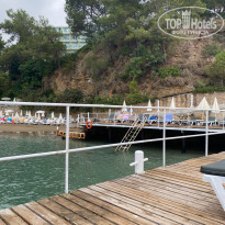 фото из отзыва ID 2298080