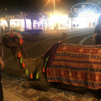 фото из отзыва ID 2298123