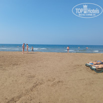 фото из отзыва ID 2298174