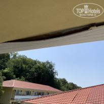 фото из отзыва ID 2298240