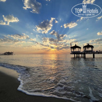 фото из отзыва ID 2298288