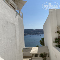 фото из отзыва ID 2298364