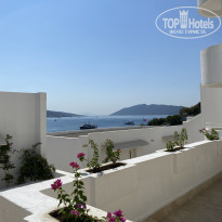 фото из отзыва ID 2298364