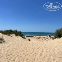 фото из отзыва ID 2298393