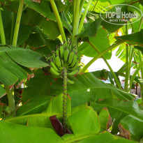 фото из отзыва ID 2298614