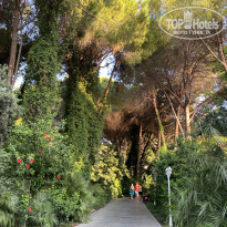 фото из отзыва ID 2298656