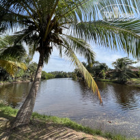 фото из отзыва ID 2298790