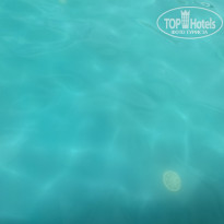 фото из отзыва ID 2298915