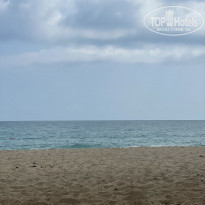 фото из отзыва ID 2298918