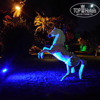 фото из отзыва ID 2298922