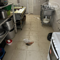 фото из отзыва ID 2299019