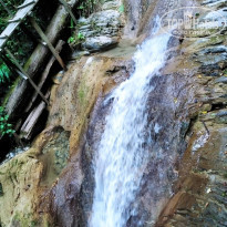 фото из отзыва ID 2299129