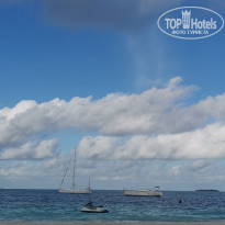 фото из отзыва ID 2298863