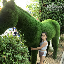 фото из отзыва ID 2299488