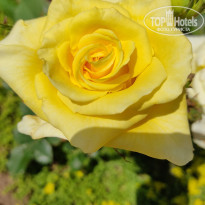 фото из отзыва ID 2299963