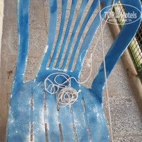 фото из отзыва ID 2299986