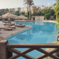 фото из отзыва ID 2299813