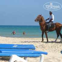 фото из отзыва ID 230532