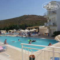 фото из отзыва ID 230707