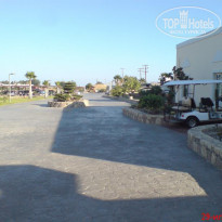 фото из отзыва ID 230067