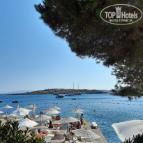 фото из отзыва ID 2300247