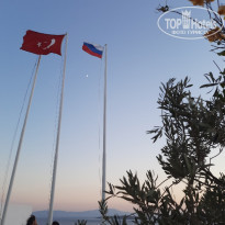 фото из отзыва ID 2300247