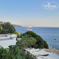 фото из отзыва ID 2300247