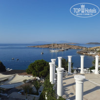 фото из отзыва ID 2300247