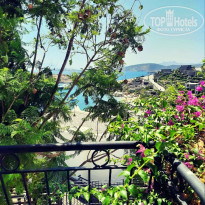 фото из отзыва ID 2300247