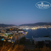 фото из отзыва ID 2300247