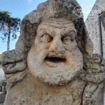 фото из отзыва ID 2300247