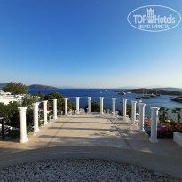 фото из отзыва ID 2300247