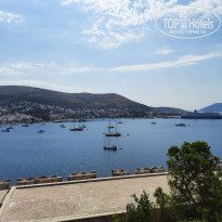 фото из отзыва ID 2300247