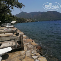 фото из отзыва ID 2300267