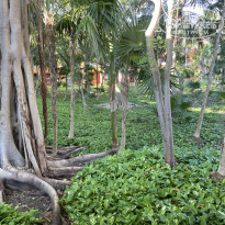 фото из отзыва ID 2300402