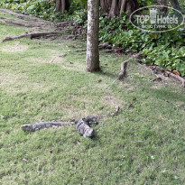 фото из отзыва ID 2300402