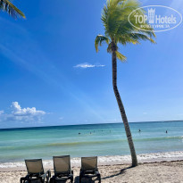 фото из отзыва ID 2300402