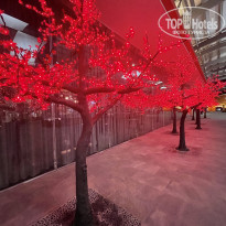 фото из отзыва ID 2300402