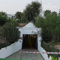 фото из отзыва ID 2300525